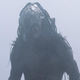 the predator with a skull mask